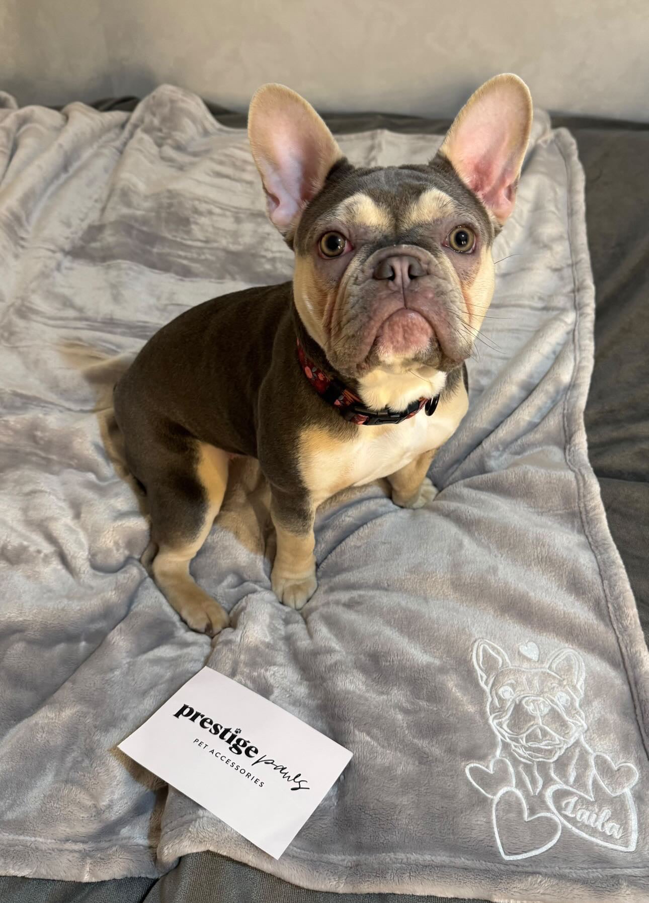 Personalised Breed Pet Blanket