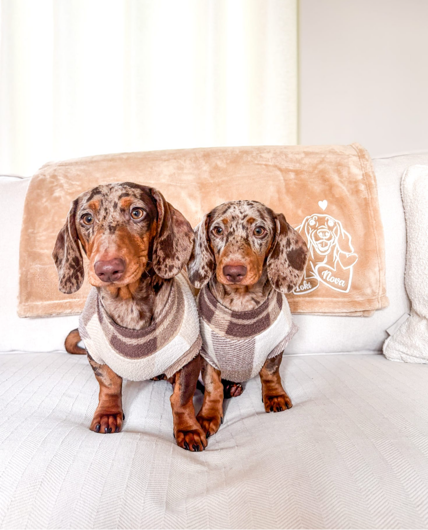 Personalised Breed Pet Blanket