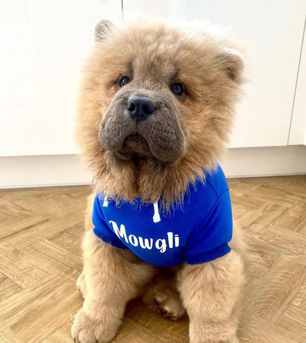 Custom Dog Hoodie - Main Image