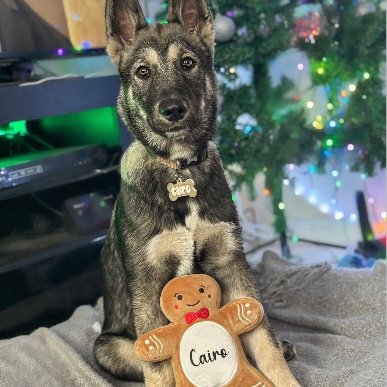 Personalised Gingerbread Toy
