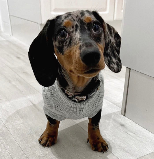 Chunky Cable Knit Sweater