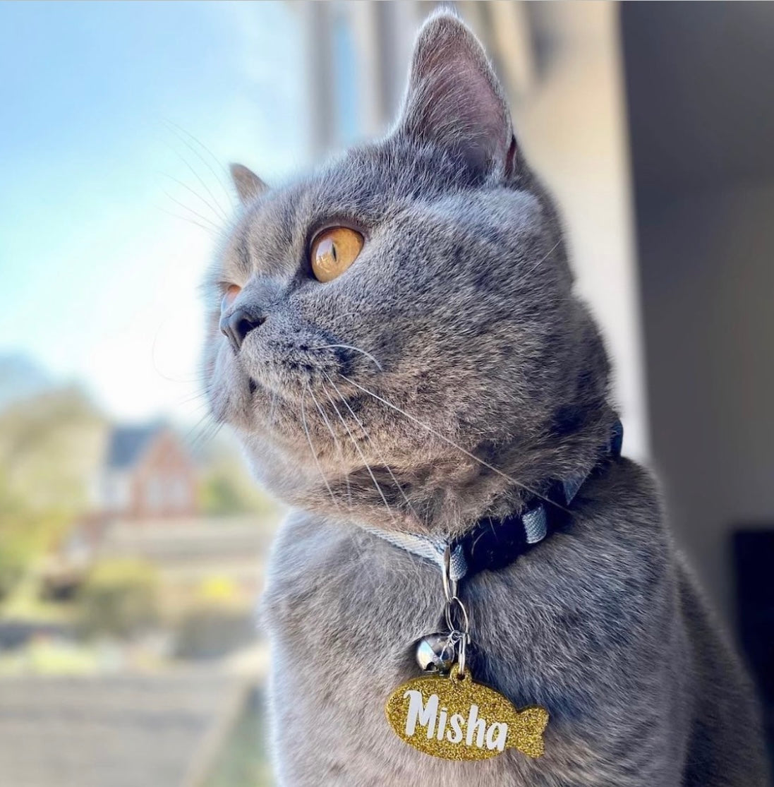 Custom Cat ID Tag – PRESTIGEPAWS - Main Image