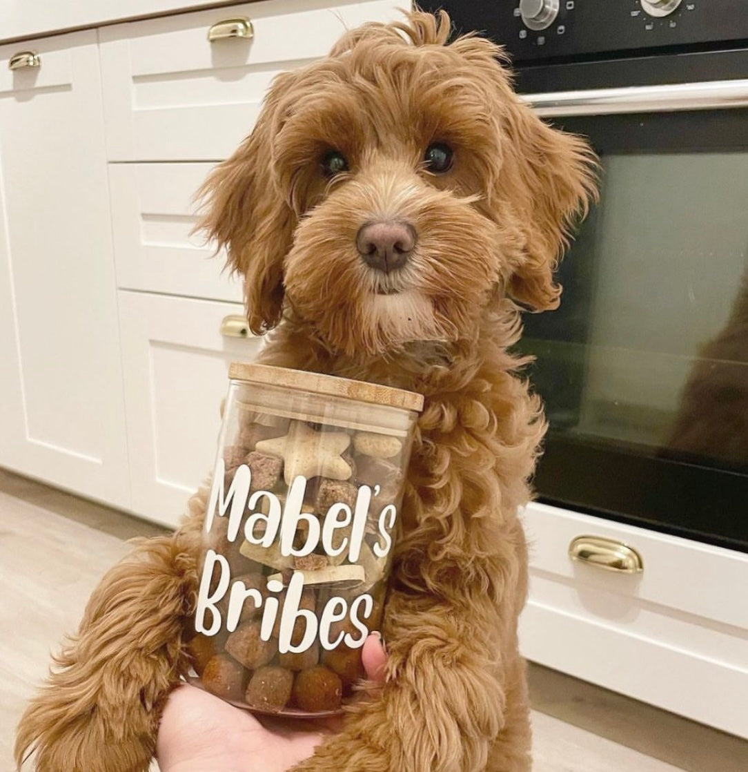 Bamboo Custom Treat Jar