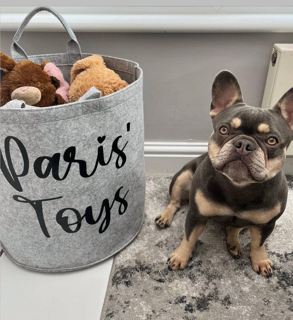 Custom Toy Trug