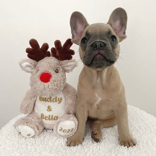Personalised Christmas Teddy