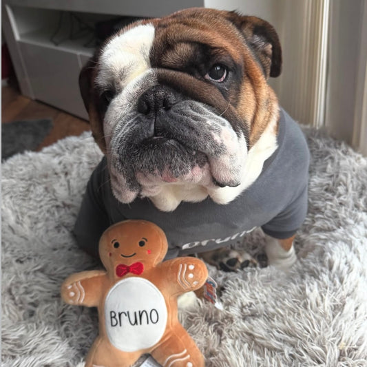 Personalised Gingerbread Toy