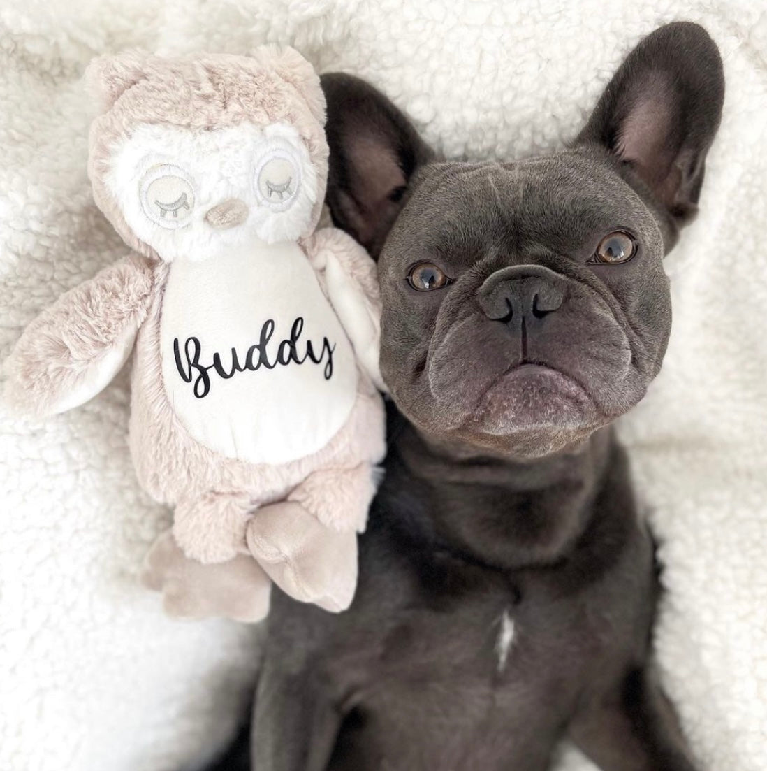 Personalised Teddy Bear