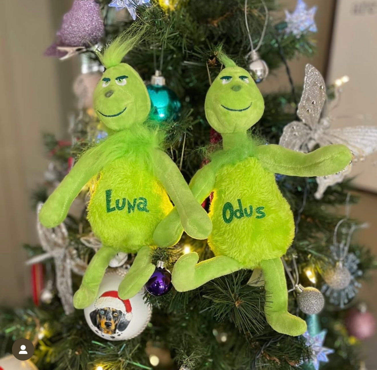 Personalised Grinch Teddy