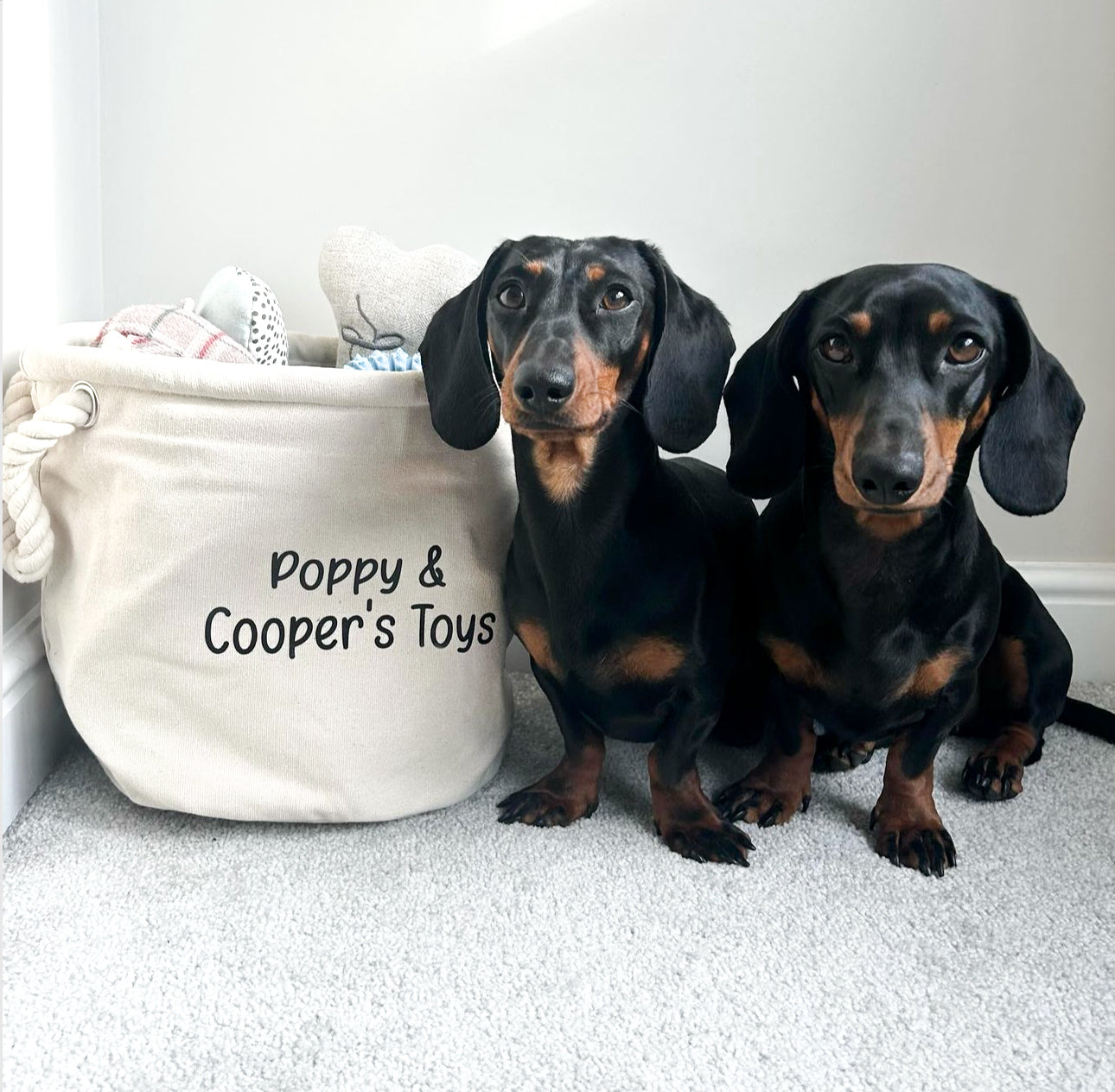 Custom Rope Toy Basket