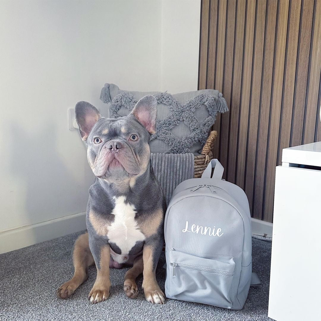 Custom Backpack