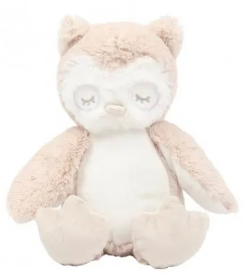 Personalised Teddy Bear