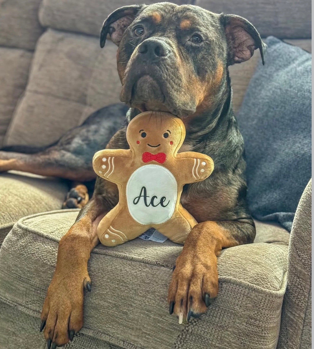 Personalised Gingerbread Toy