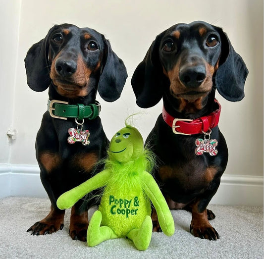 Personalised Grinch Teddy