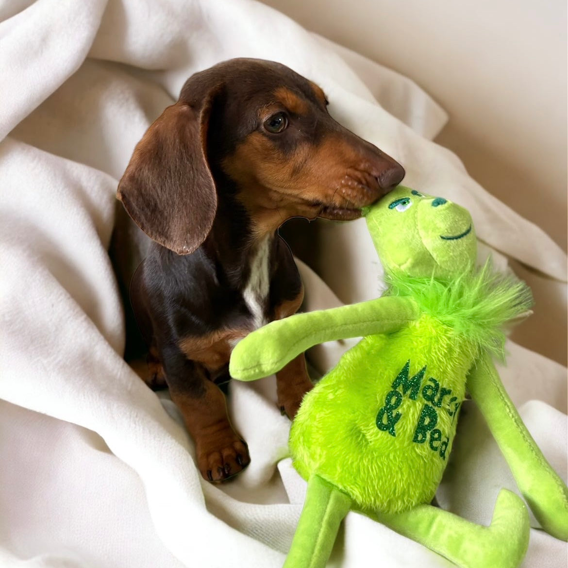 Personalised Grinch Teddy