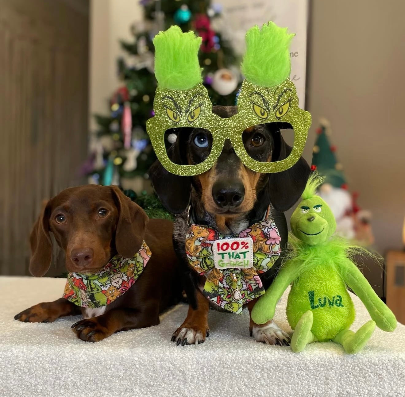 Personalised Grinch Teddy