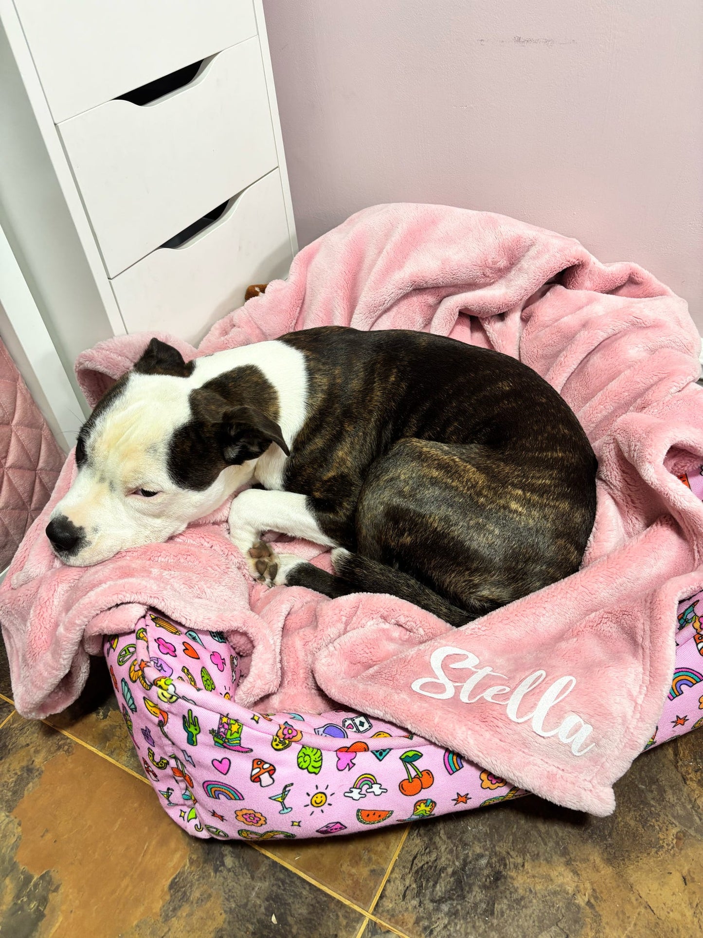 Personalised Name Pet Blanket