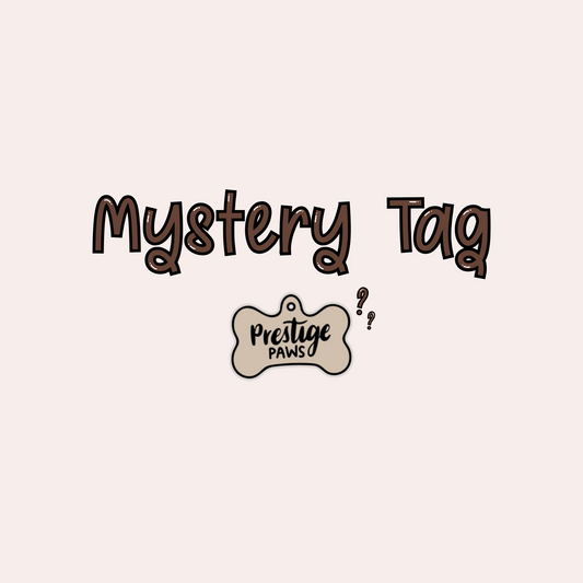 Mystery Tag